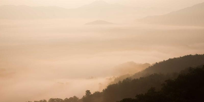 Bioscience前沿：利用Hybrid Bioscience与Biotech Tools重塑肠-脑轴，开拓精神健康干预新策略