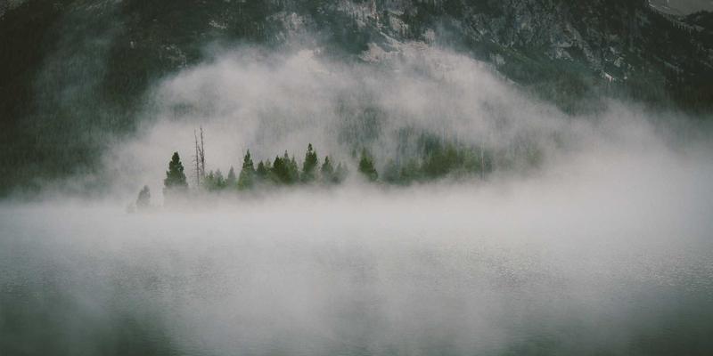 Biotechnology 100：当生物科技遇见混合科学，开启生命研究的全新纪元