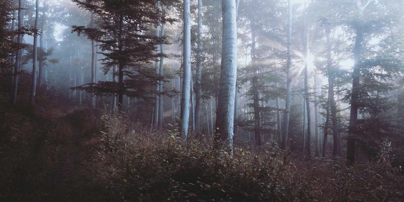 Biotechnology 11: Bridging Scientific Research and Hybrid Bioscience for a Sustainable Future