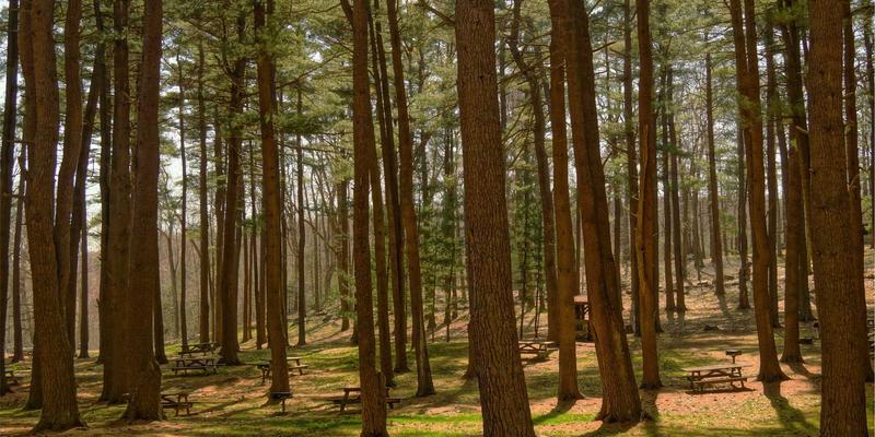 Biotechnology24：融合生物科学与尖端仪器，开启科研新纪元