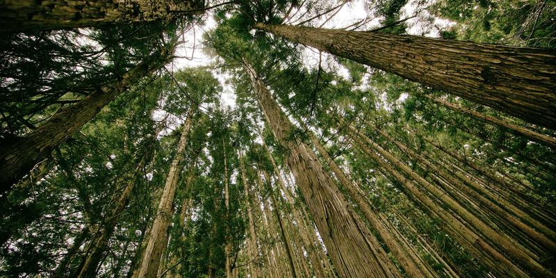 Biotechnology 41: Essential Biotech Tools Transforming Scientific Research in Bioscience