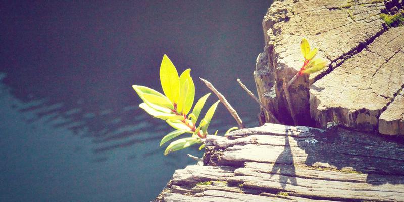 Biotechnology49：融合实验室设备与仪器，驱动杂交生物科学新纪元