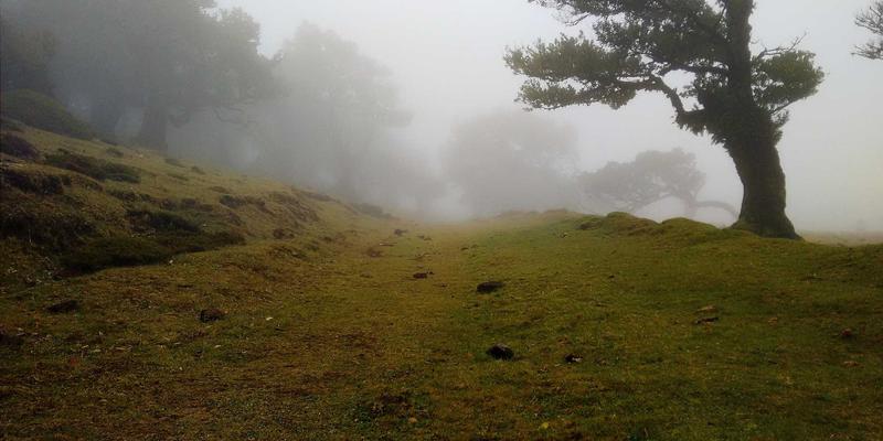 Hybrid Bioscience vs. Traditional Bioscience：技术融合如何重塑实验室设备新格局
