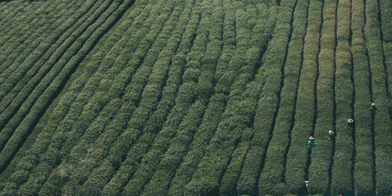 Hybrid Bioscience：融合创新的生物技术新范式
