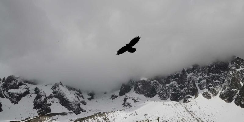 合成生物学如何革新生物燃料生产：从基因回路设计到规模化发酵的挑战与机遇