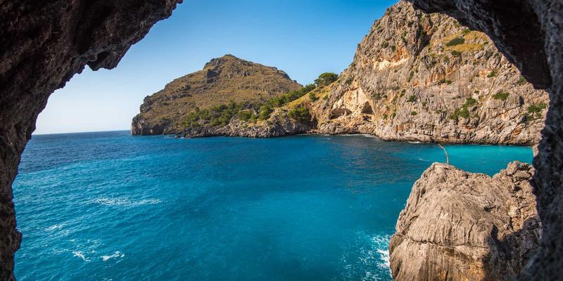 基因驱动技术：从实验室仪器到生态治理的革命性应用与伦理挑战