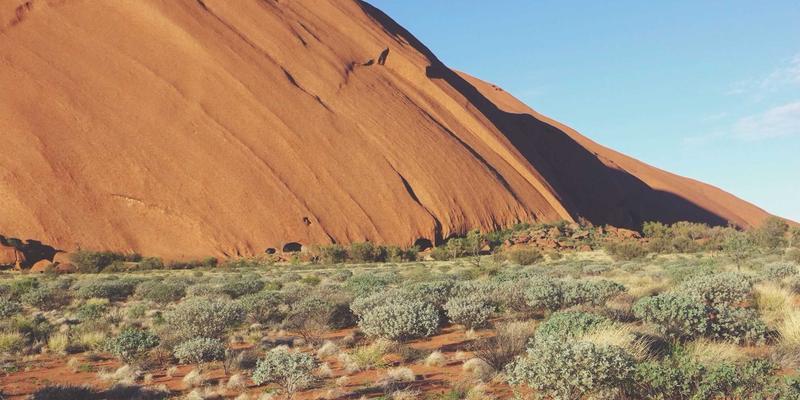 实验室设备如何驱动生物技术与混合生物科学的未来革命
