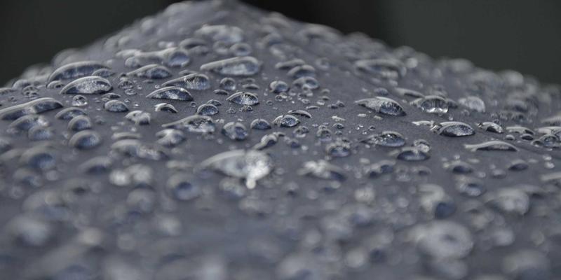 植物分子农业革命：如何利用作物生产疫苗与高价值药用蛋白