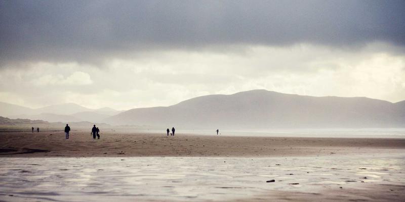 生物技术入门指南:掌握科研核心工具与混合生物科学前沿