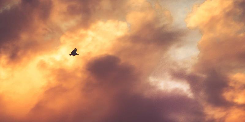 生物技术赋能农业：基因编辑与合成生物学如何培育下一代抗逆作物