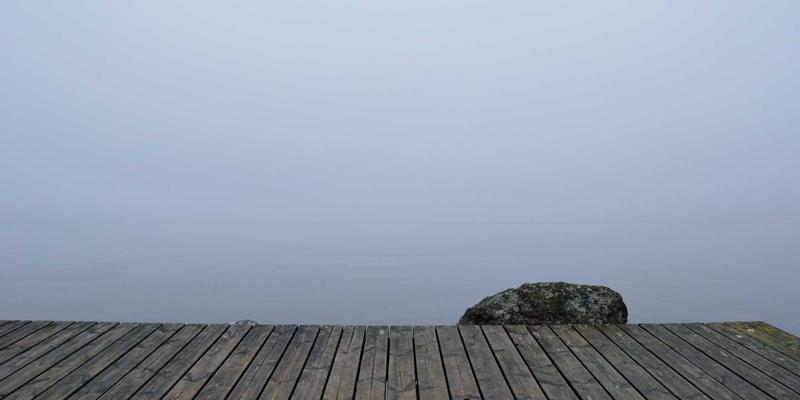 科学研究的革命：组织工程与生物3D打印如何通过混合生物科学构建未来器官