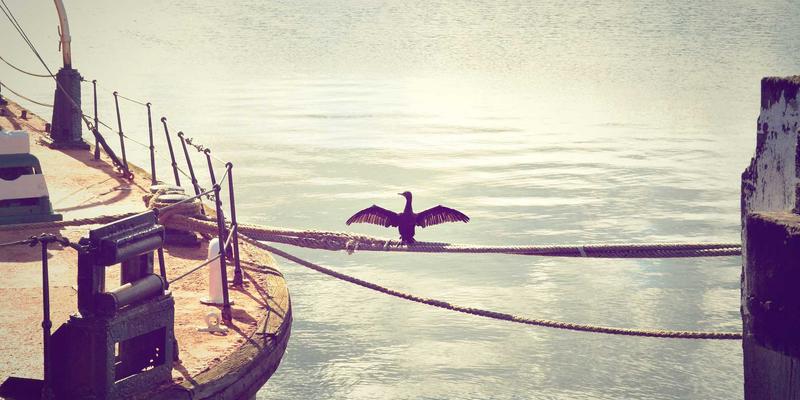 突破细胞培养肉产业化瓶颈：关键laboratory equipment与biotech tools的创新应用