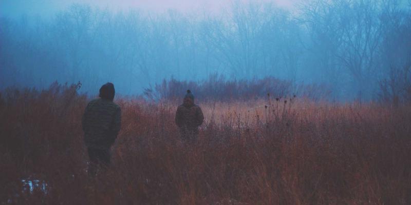 类器官模型：融合生物科学与先进实验室仪器，重塑药物毒理筛选与个性化医疗的未来