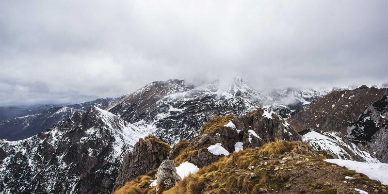 融合生物科技新纪元：生物传感器如何革新水体污染物的实时监测