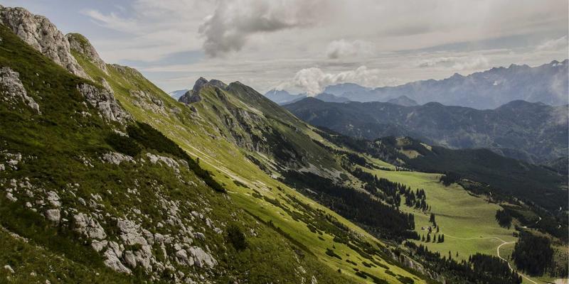 解码微生物宇宙：生物信息学算法如何借助先进生物科技工具革新宏基因组学与病原体追踪