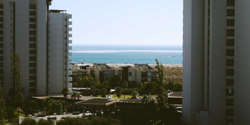 解锁未来：生物技术工具如何驱动碳中和革命——从微生物固碳到生物能源转化